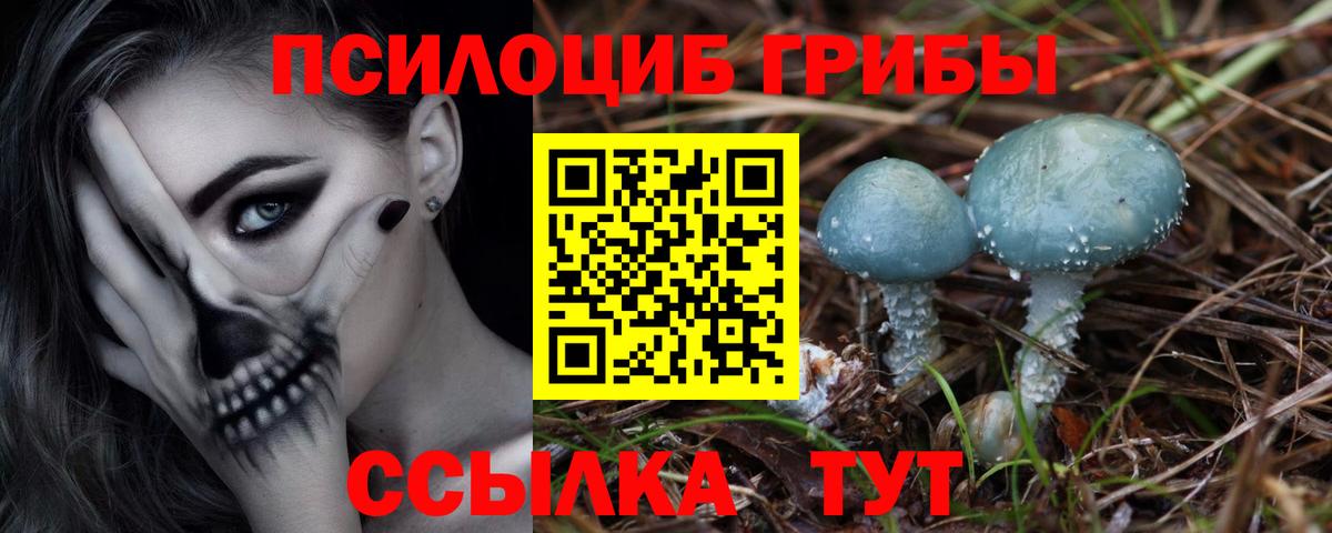 Псилоцибиновые грибы мухоморы  Галлюциногенные грибы мицелий  Вход с VPN  Сосновоборск 